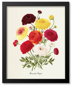Multi-color Flower Botanical Prints