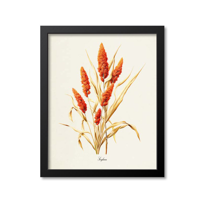 Sorghum Botanical Print