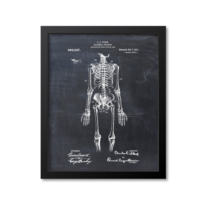 Anatomical Skeleton Print