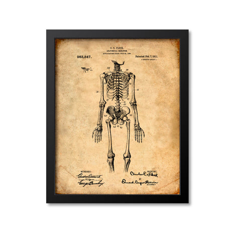 Anatomical Skeleton Print
