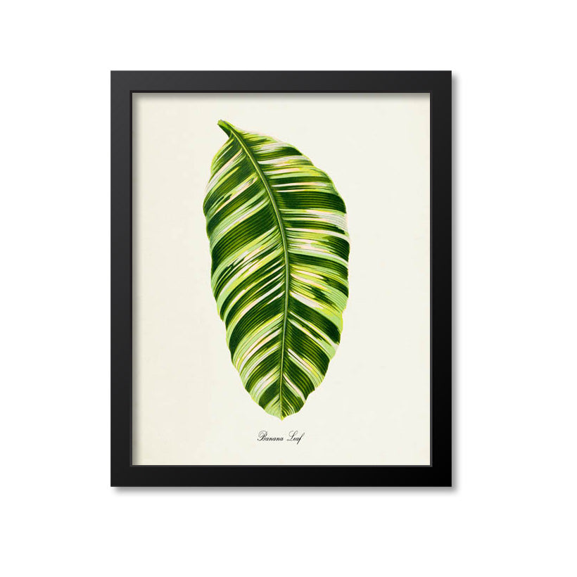 Banana Leaf Art Print