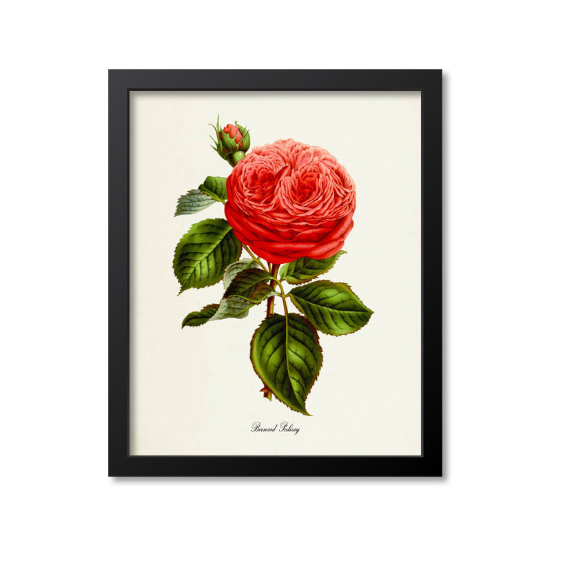 Bernard Palissy Rose Flower Art Print