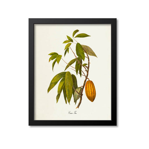 Cacao Tree Art Print, Chocolate, Cocoa Beans