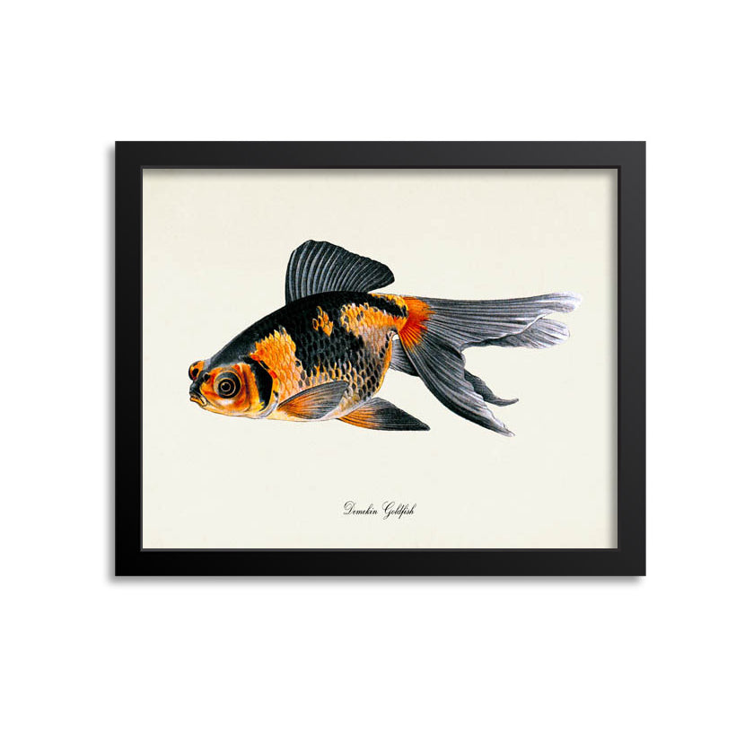 Demekin Goldfish Art Print