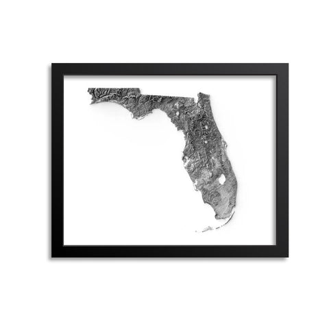 Florida Elevation Map Print