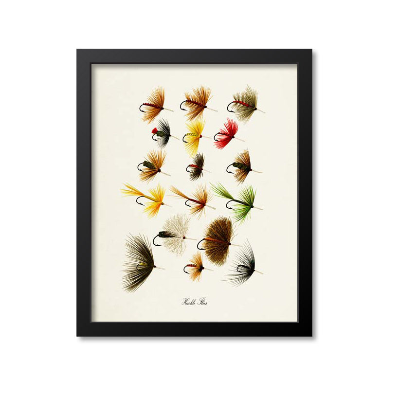 Hackle Flies Art Print