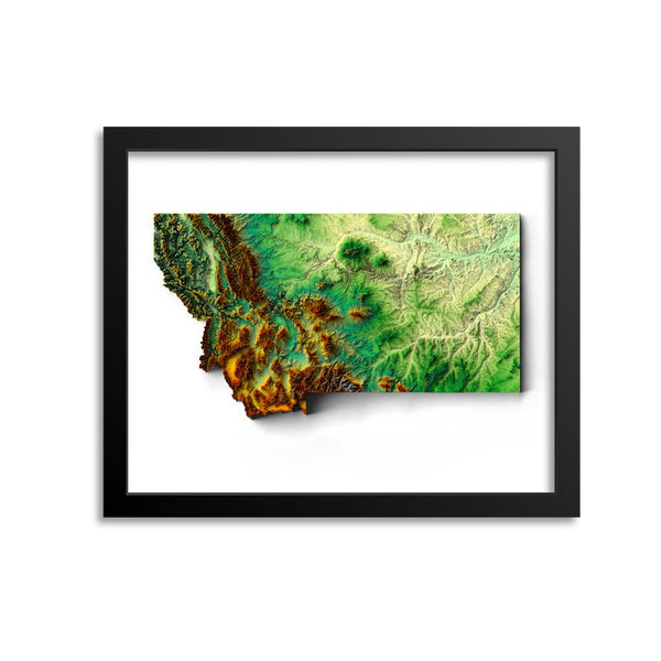 Montana Elevation Map Print