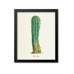 Moroccan Spurge Art Print, Cactus