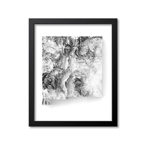New Mexico Elevation Map Print