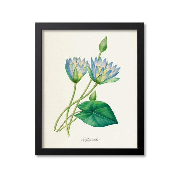 □Blue flower□Juliane Marie□額装３４×２８◇陶板画◇ □Blue flower□Juliane Marie□額装34×28◇陶板画◇