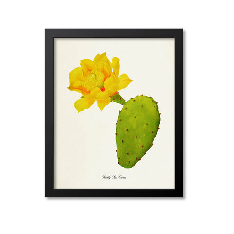 Prickly Pear Cactus Art Print