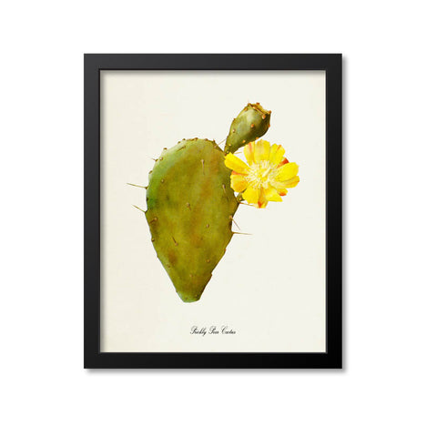 Prickly Pear Cactus Art Print 2