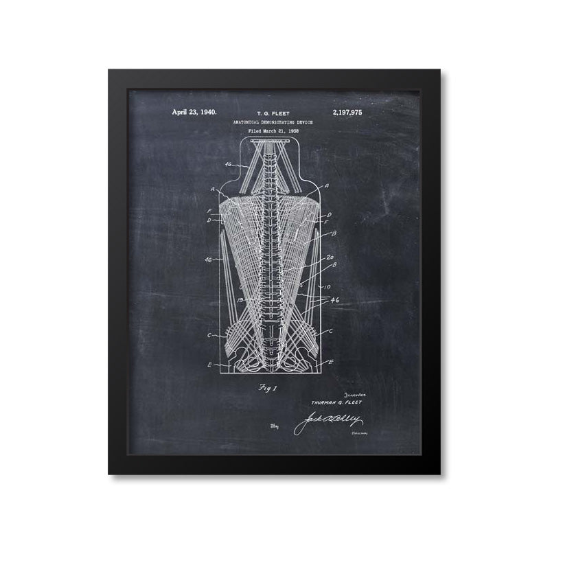 Anatomical Spine Skeleton Print