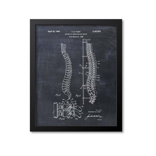 Anatomical Spine Skeleton Print