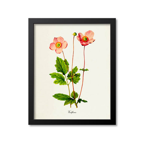 Windflowers Art Print