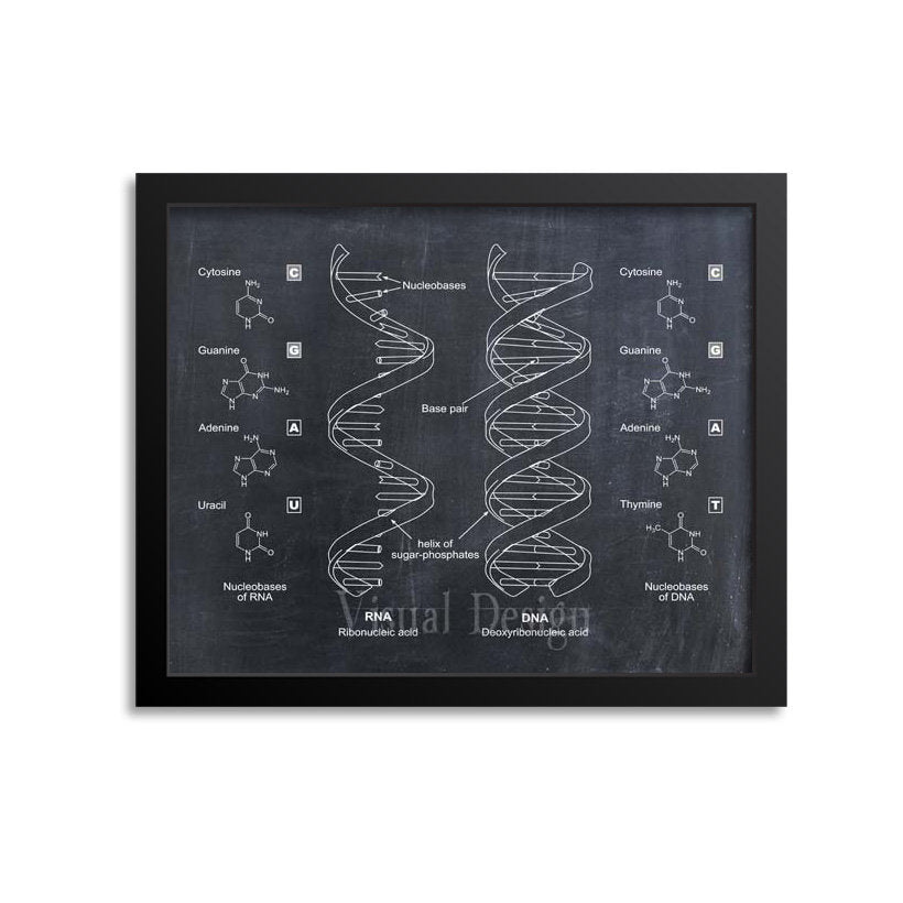 DNA RNA Print