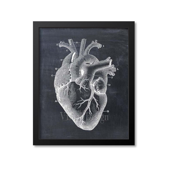 Heart Anatomy Print